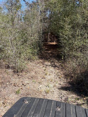 00 County Road 4180, Lovelady, TX 75851