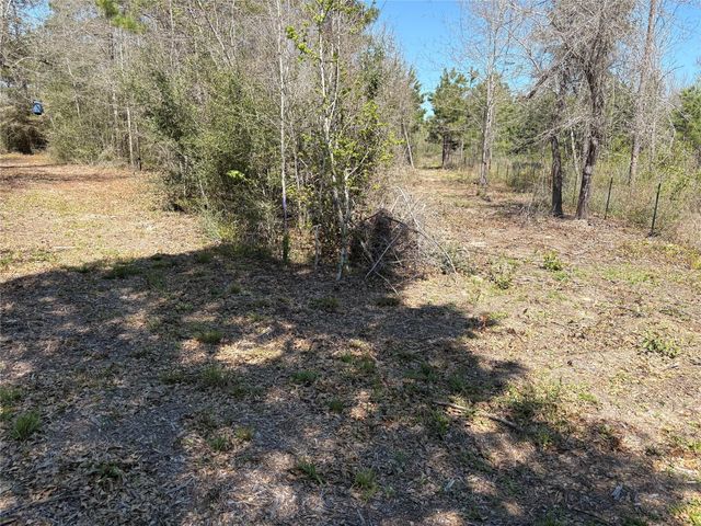 00 County Road 4180, Lovelady, TX 75851