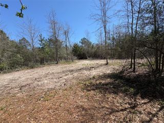 00 County Road 4180, Lovelady, TX 75851