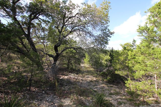 29035 Verde Mountain Trail, San Antonio, TX 78261