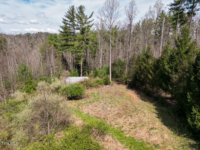 Tbd Norris Road, Butler, TN 37640