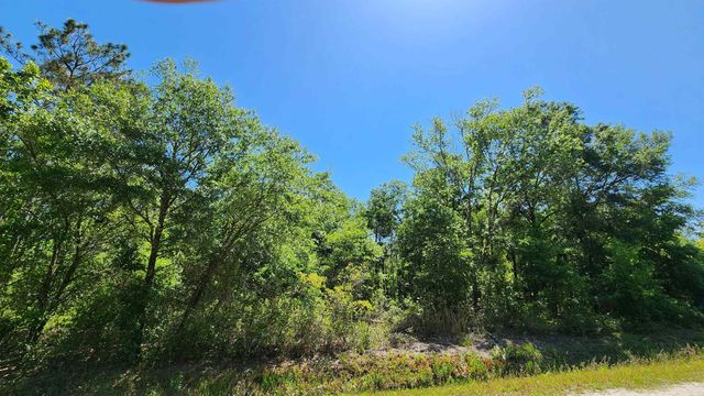 4370 Benedict St, Hastings, FL 32145