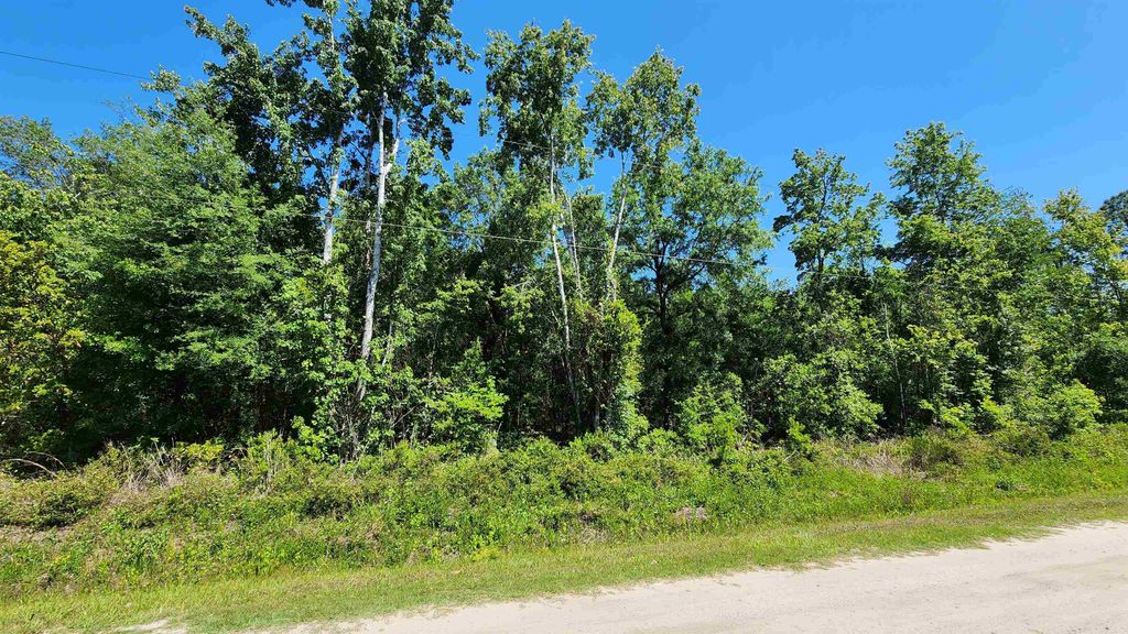 4370 Benedict St, Hastings, FL 32145