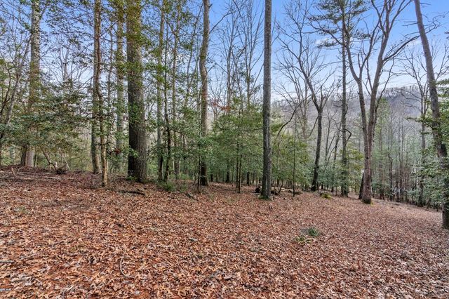 3.2 Ac Stanley Creek Road, Blue Ridge, GA 30513
