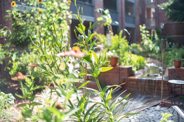 1300 S church, Jonesboro, AR 72401