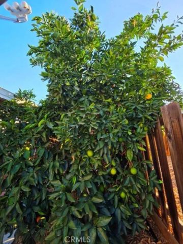 27250 Murrieta 390, Menifee, CA 92586