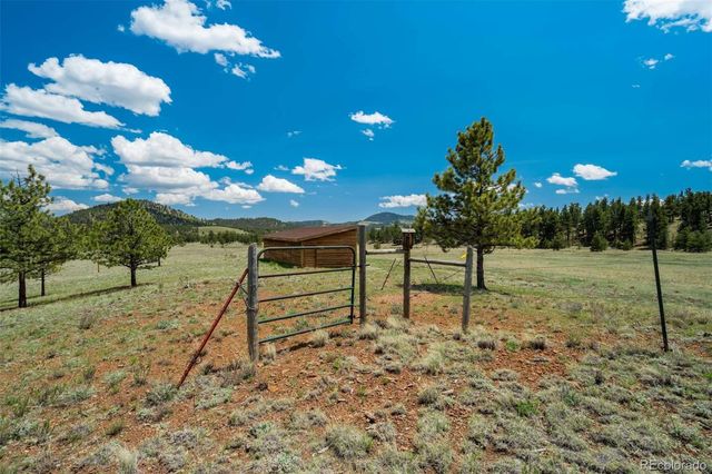 994 Deer Lane, Guffey, CO 80820