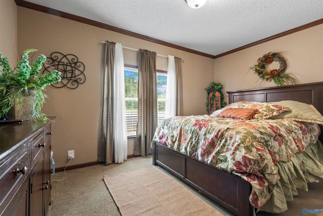 2662 County Road 1719, Holly Pond, AL 35083