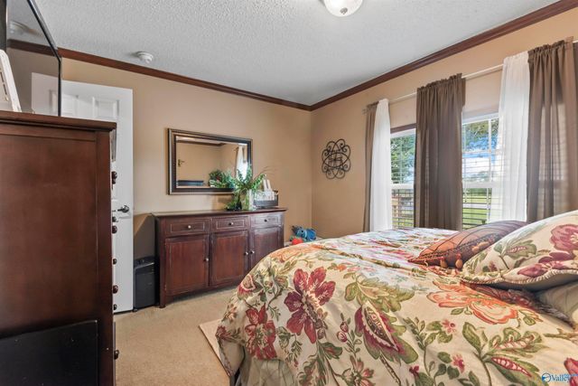 2662 County Road 1719, Holly Pond, AL 35083