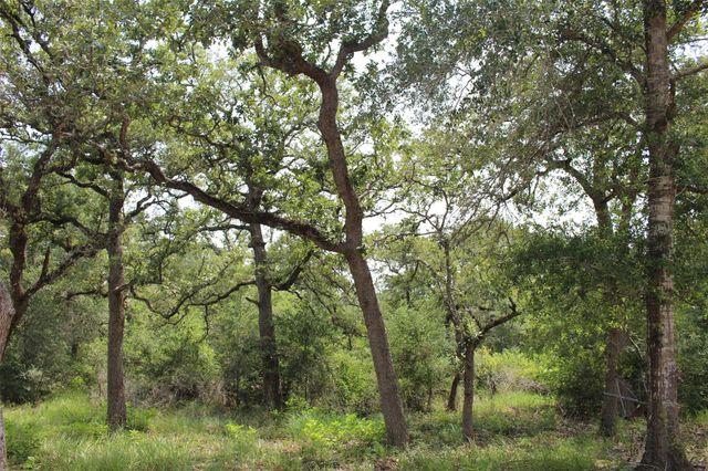 479 Private 1581 Drive, Hallettsville, TX 77964