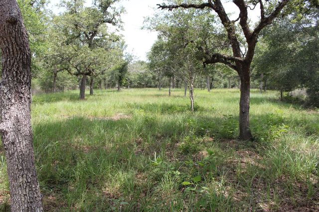 479 Private 1581 Drive, Hallettsville, TX 77964