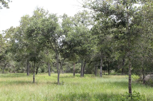 479 Private 1581 Drive, Hallettsville, TX 77964