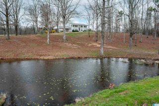 3060 HIGHWAY 47, Columbiana, AL 35051