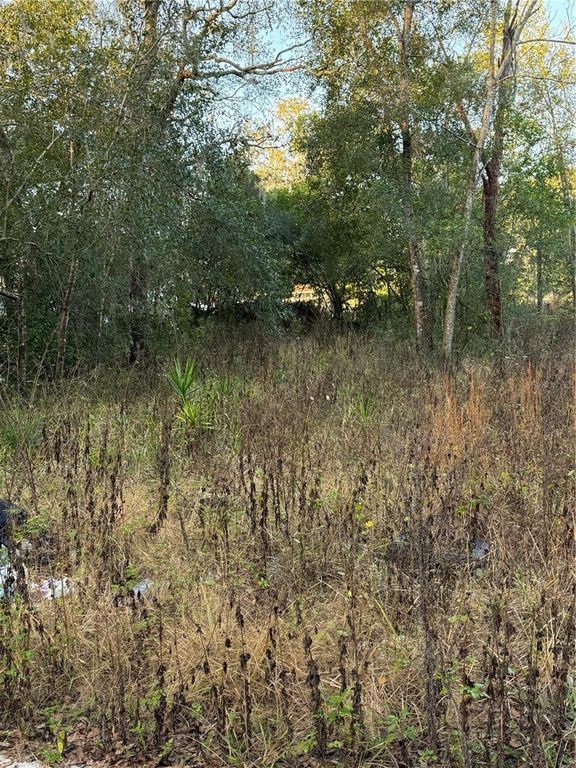 9411 KISSIMMEE STREET, New Port Richey, FL 34654