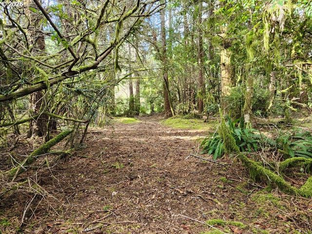 42585 ARIZONA St, Port Orford, OR 97465