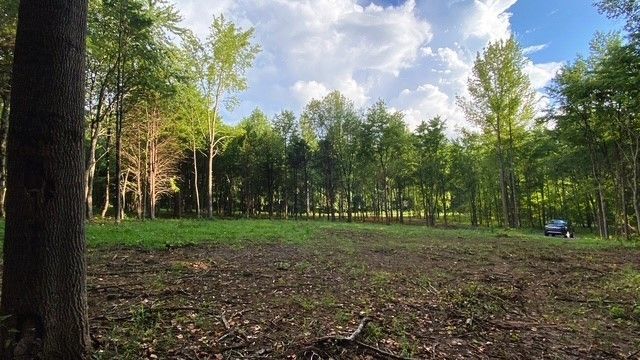 7910 Bill Moss Rd, White House, TN 37188