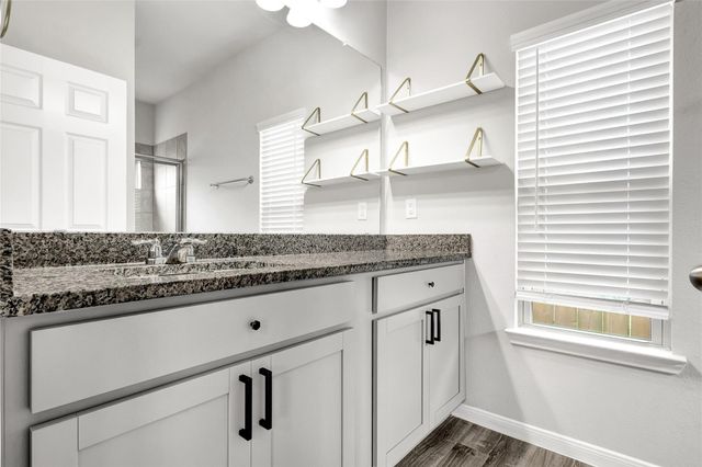 13319 Colby Meadow Drive, Houston, TX 77048