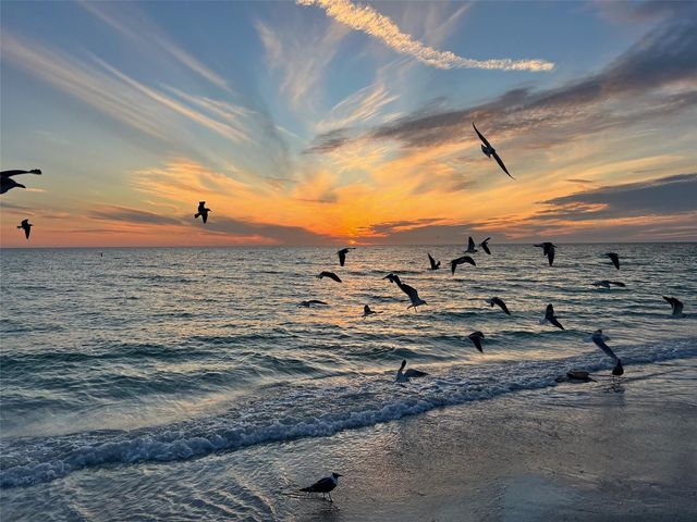 800 S BLVD OF THE PRESIDENTS 9, Sarasota, FL 34236