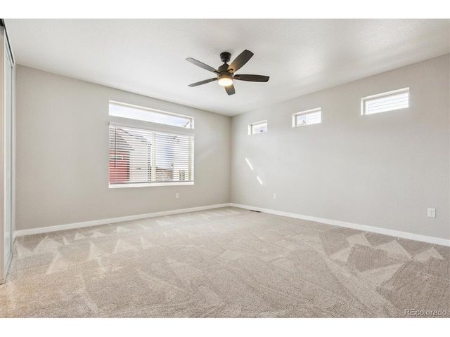 4241 Coriander St, Castle Rock, CO 80109