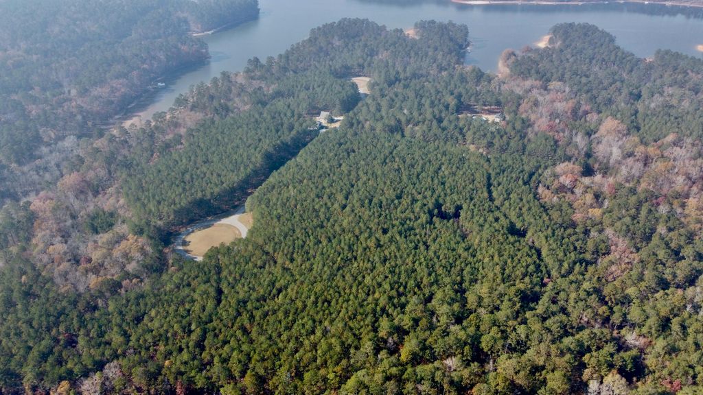 1272 Sunset Cove, Tignall, GA 30668