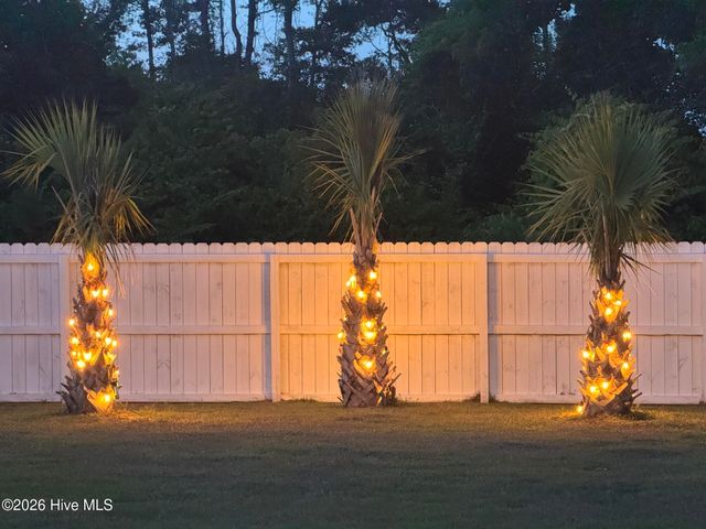 808 Colchester Reef Run, Sneads Ferry, NC 28460