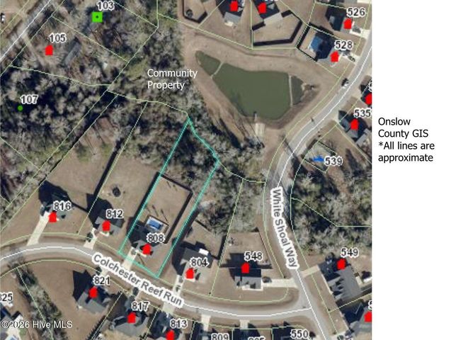 808 Colchester Reef Run, Sneads Ferry, NC 28460