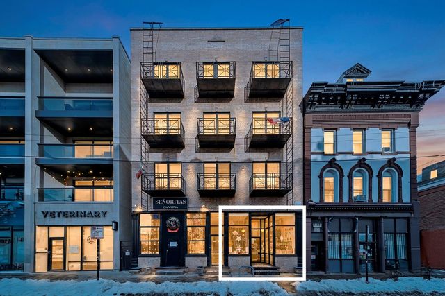 1102 W 18TH Street, Chicago, IL 60608