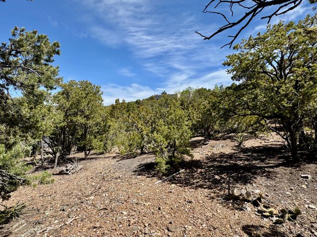 2619 Summit Court, Santa Fe, NM 87501