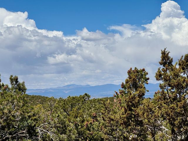 2619 Summit Court, Santa Fe, NM 87501