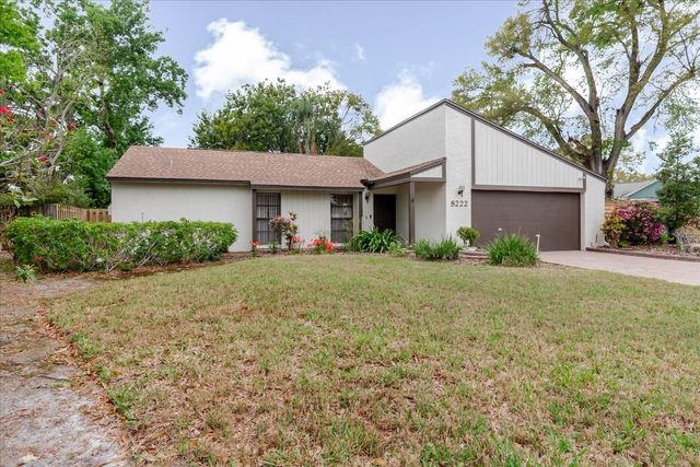 8222 LA SERENA DRIVE, Tampa, FL 33614