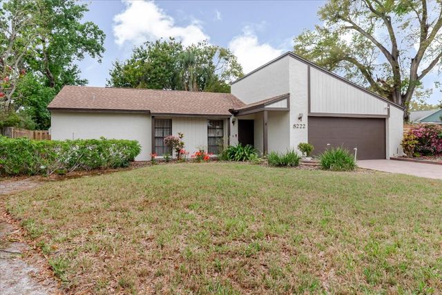 8222 LA SERENA DRIVE, Tampa, FL 33614
