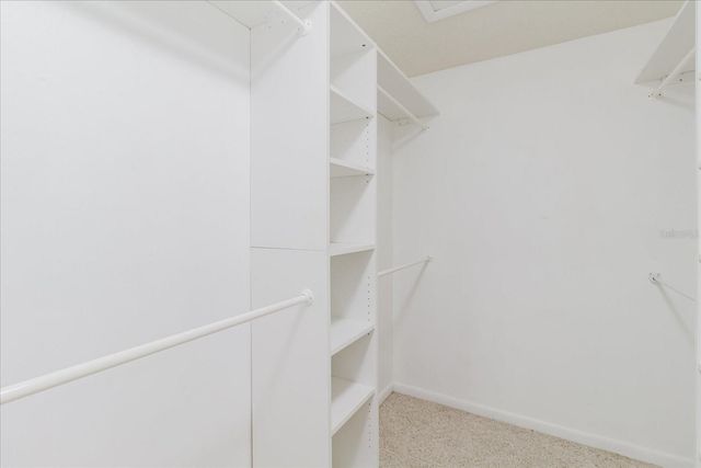 8222 LA SERENA DRIVE, Tampa, FL 33614