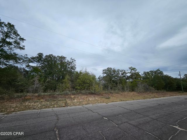 TBD Randolph Drive, Chipley, FL 32428