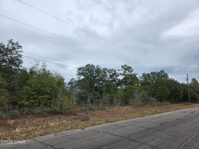 TBD Randolph Drive, Chipley, FL 32428