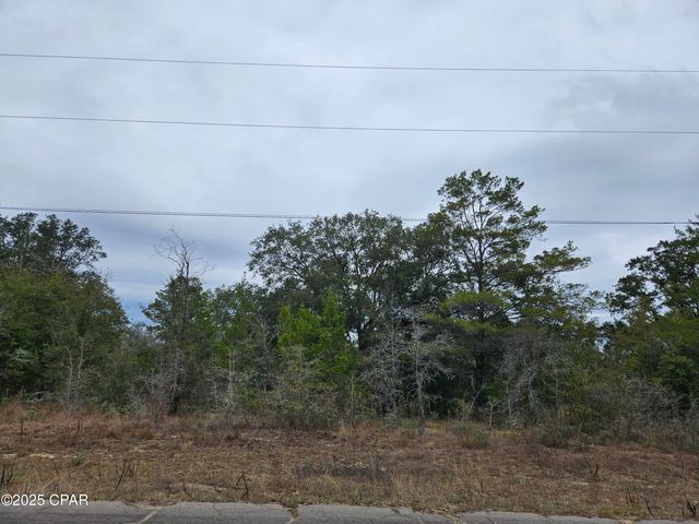 TBD Randolph Drive, Chipley, FL 32428