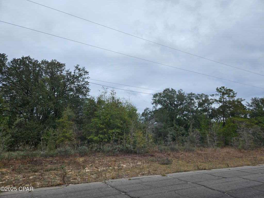 TBD Randolph Drive, Chipley, FL 32428