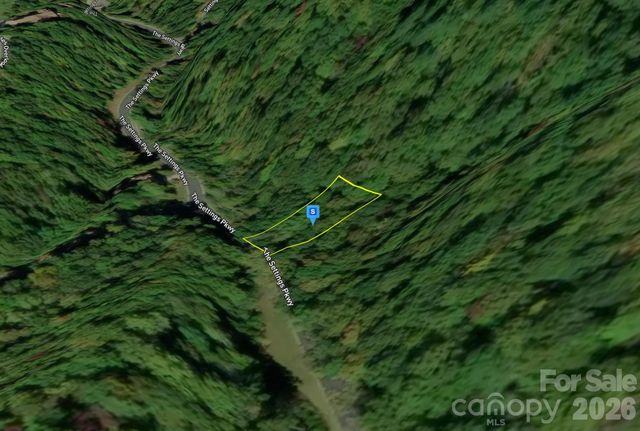 48 Settings Boulevard, Black Mountain, NC 28711