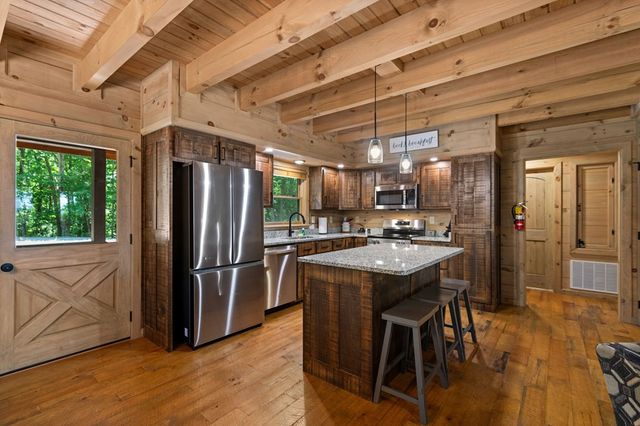 391 Little Bushy Head Road, Blue Ridge, GA 30513