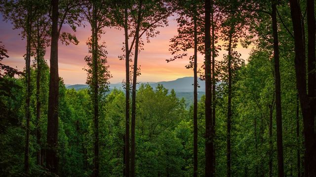 391 Little Bushy Head Road, Blue Ridge, GA 30513