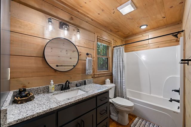 391 Little Bushy Head Road, Blue Ridge, GA 30513