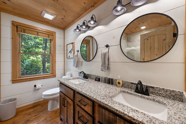 391 Little Bushy Head Road, Blue Ridge, GA 30513