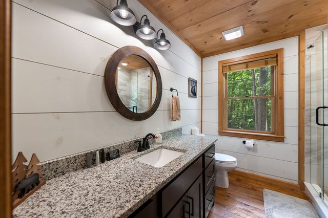 391 Little Bushy Head Road, Blue Ridge, GA 30513