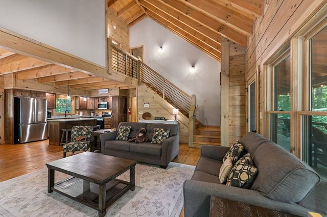 391 Little Bushy Head Road, Blue Ridge, GA 30513
