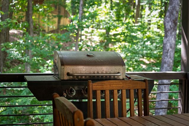 391 Little Bushy Head Road, Blue Ridge, GA 30513