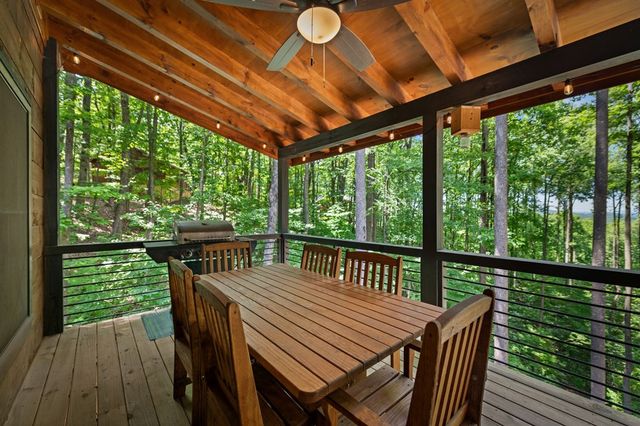 391 Little Bushy Head Road, Blue Ridge, GA 30513