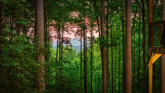 391 Little Bushy Head Road, Blue Ridge, GA 30513