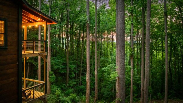 391 Little Bushy Head Road, Blue Ridge, GA 30513
