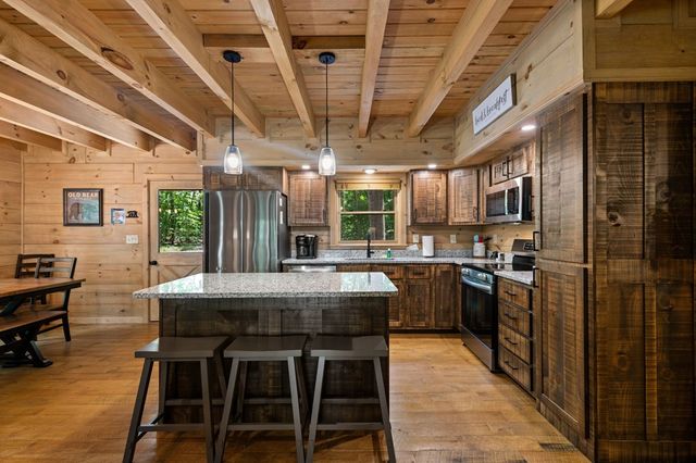 391 Little Bushy Head Road, Blue Ridge, GA 30513