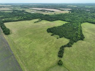 Tract 4 FM 137 Road, Honey Grove, TX 75446