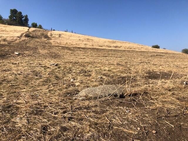 N Scenic Drive Drive, Porterville, CA 93257